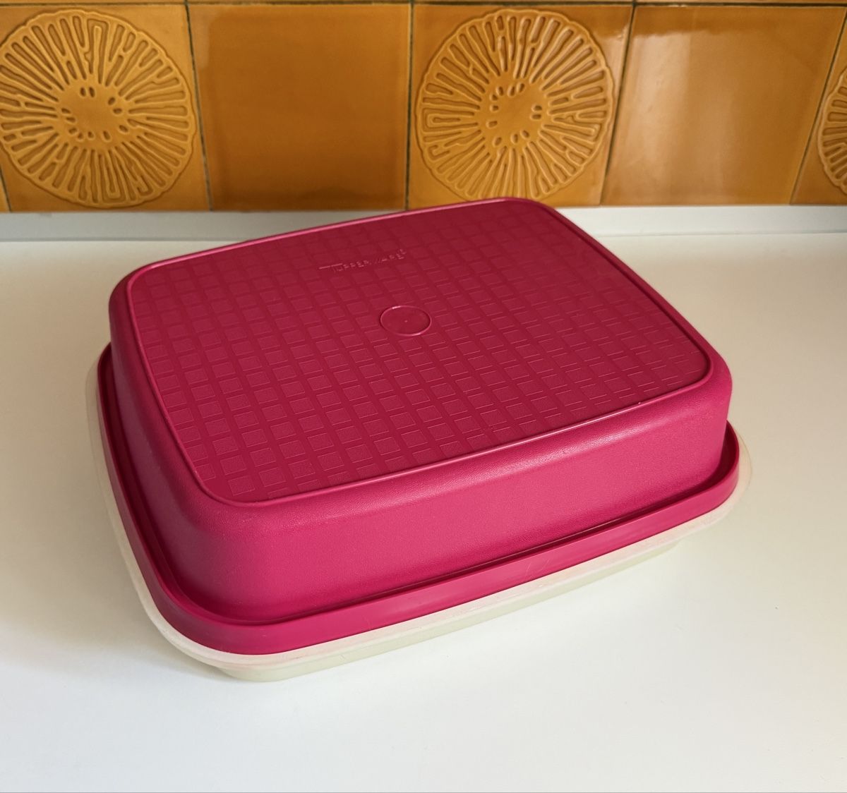 Tupperware Recipients et similaires: Tupperware Fleisch Marinade Behälter – D'occasion à Gerlafingen par sternrose 1