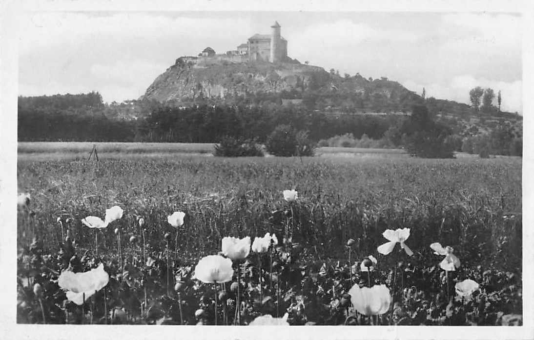 Cartoline postali: EXOTISCHE Ansichtskarte 4x TSCHECHOSLOWAKEI u.a. mit Hitler – Usato da Lufingen venduto da TopAnsichtskarten 4