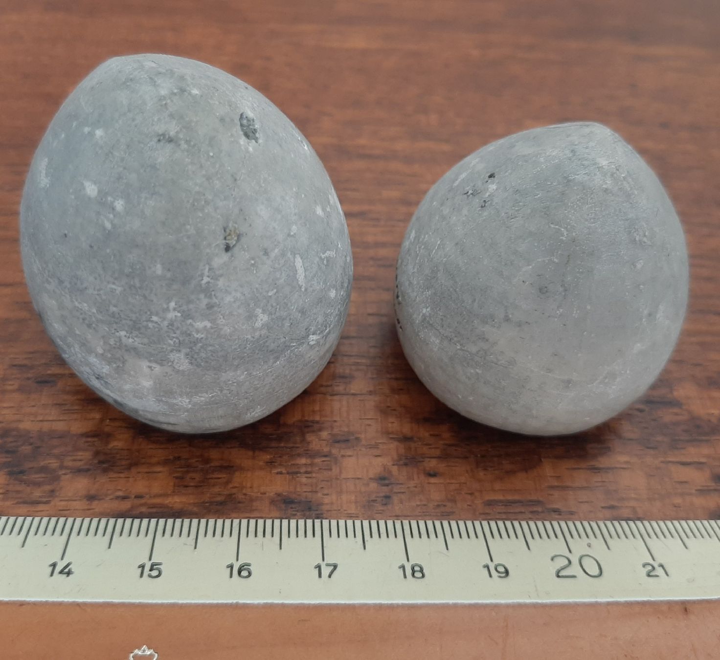 Fossilien: Seeigel Fossil 2 Stück Deutschland – Gebraucht aus Rickenbach BL von Oktober68