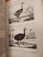 Oeuvres Complètes de Buffon I und II Oiseaux Vögel 1835