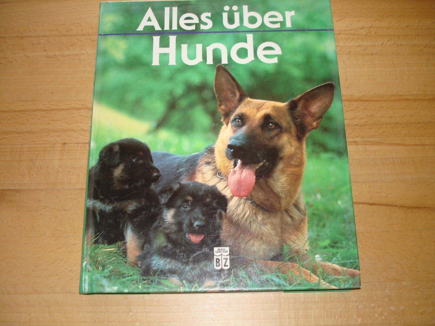 Libri: Alles über Hunde – Usato da Gossau ZH venduto da Crfurrer