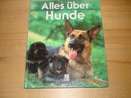 Alles über Hunde