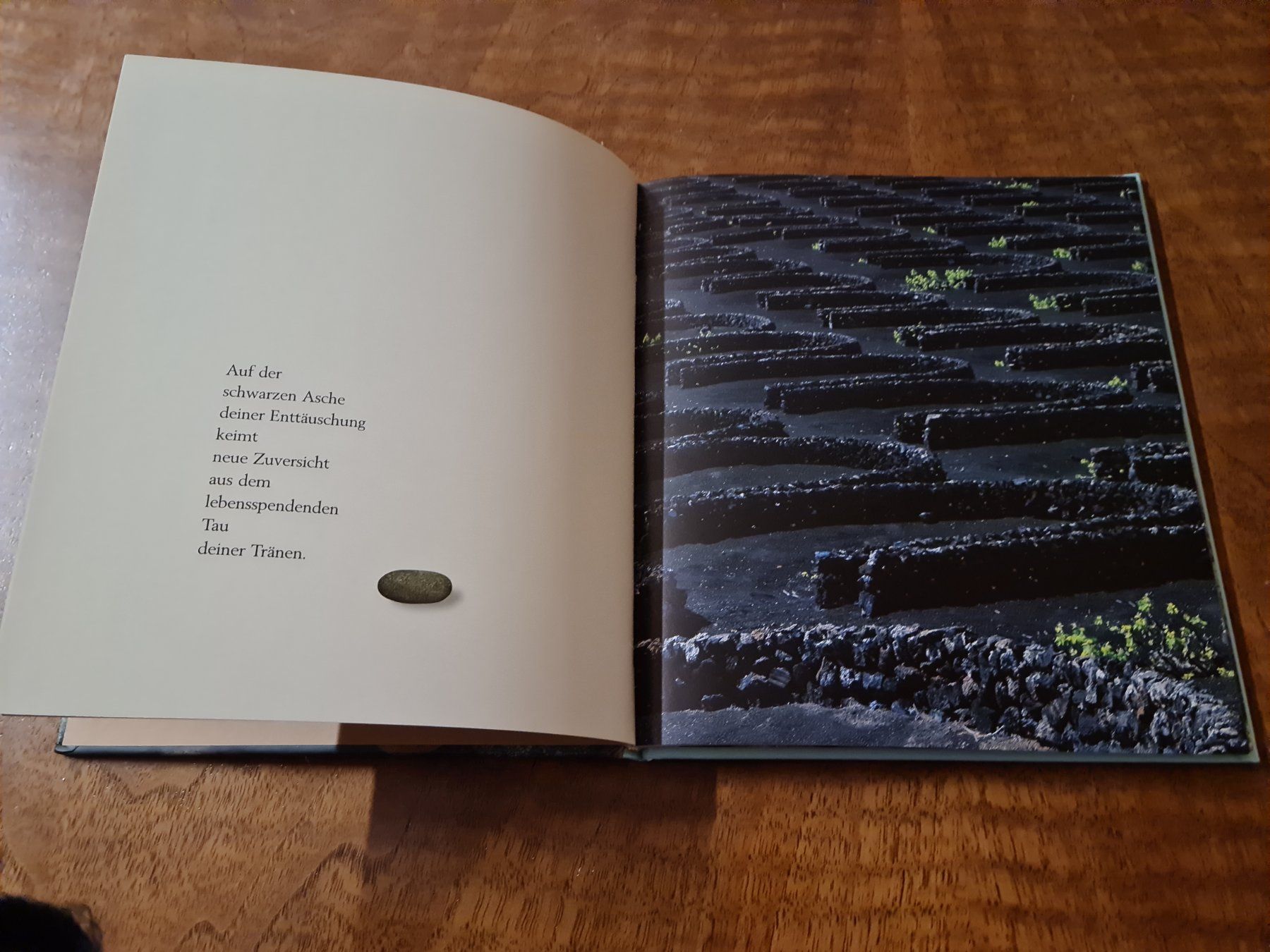 Libri: SPÜRE DIE KRAFT – Usato da Erstfeld venduto da Mario_boe0 2