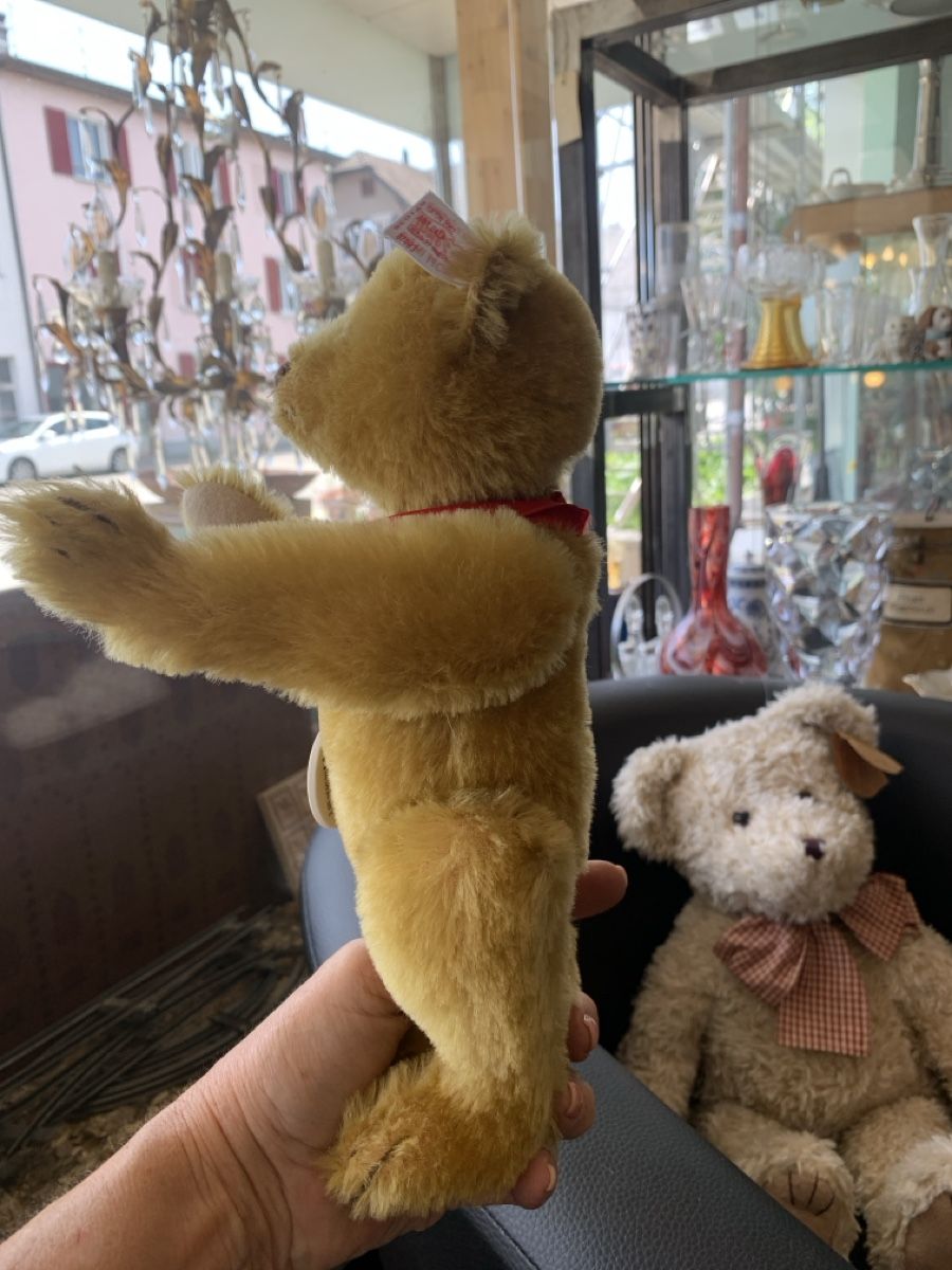 Steiff Giocattoli: Steiff Teddy , Steiffclub? – Usato da Murgenthal venduto da Padoni60 3