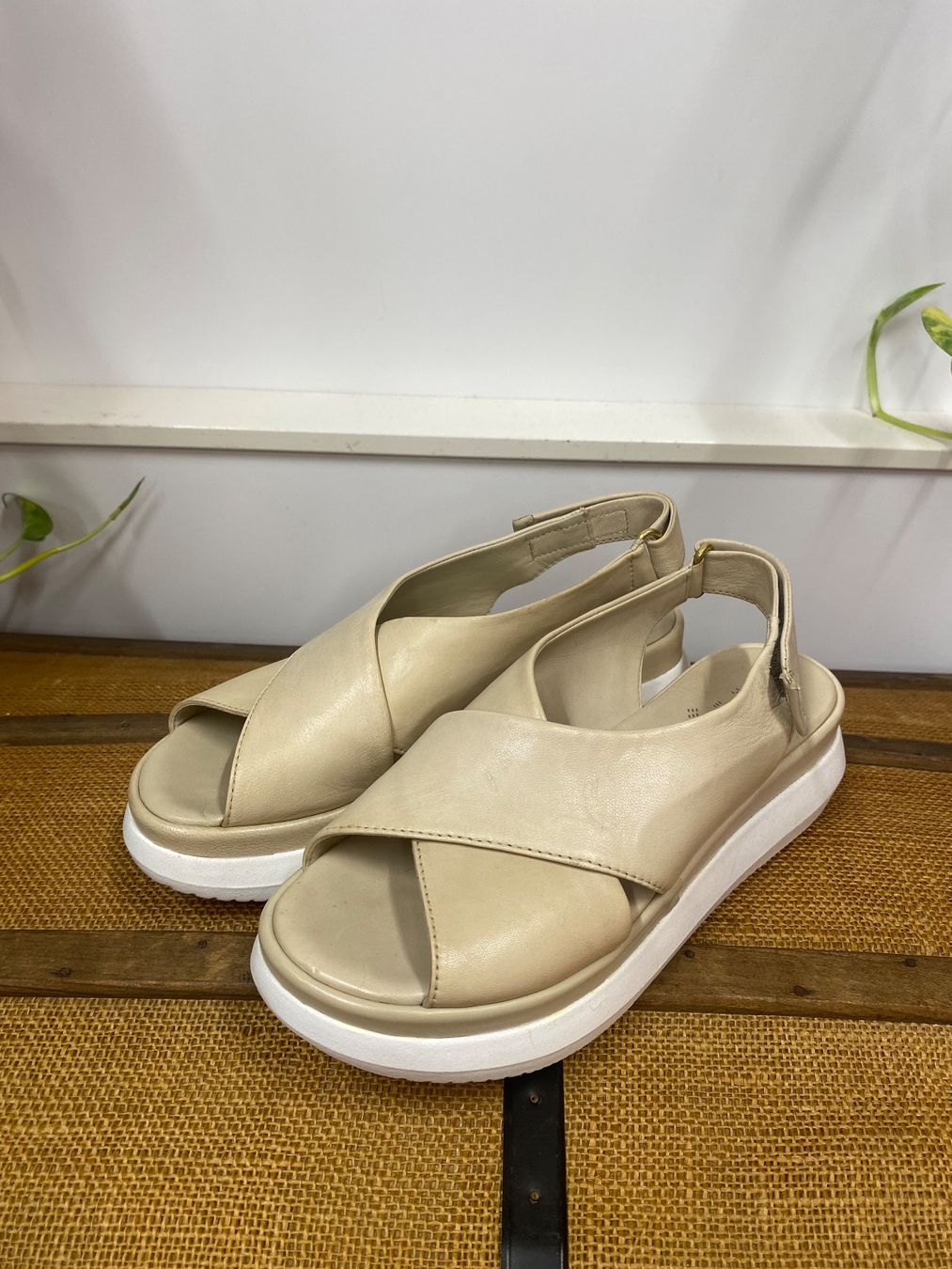 Mjus Damenschuhe: Sandalen Gr.38 Mjus – Gebraucht aus Steffisburg von kla_65qs