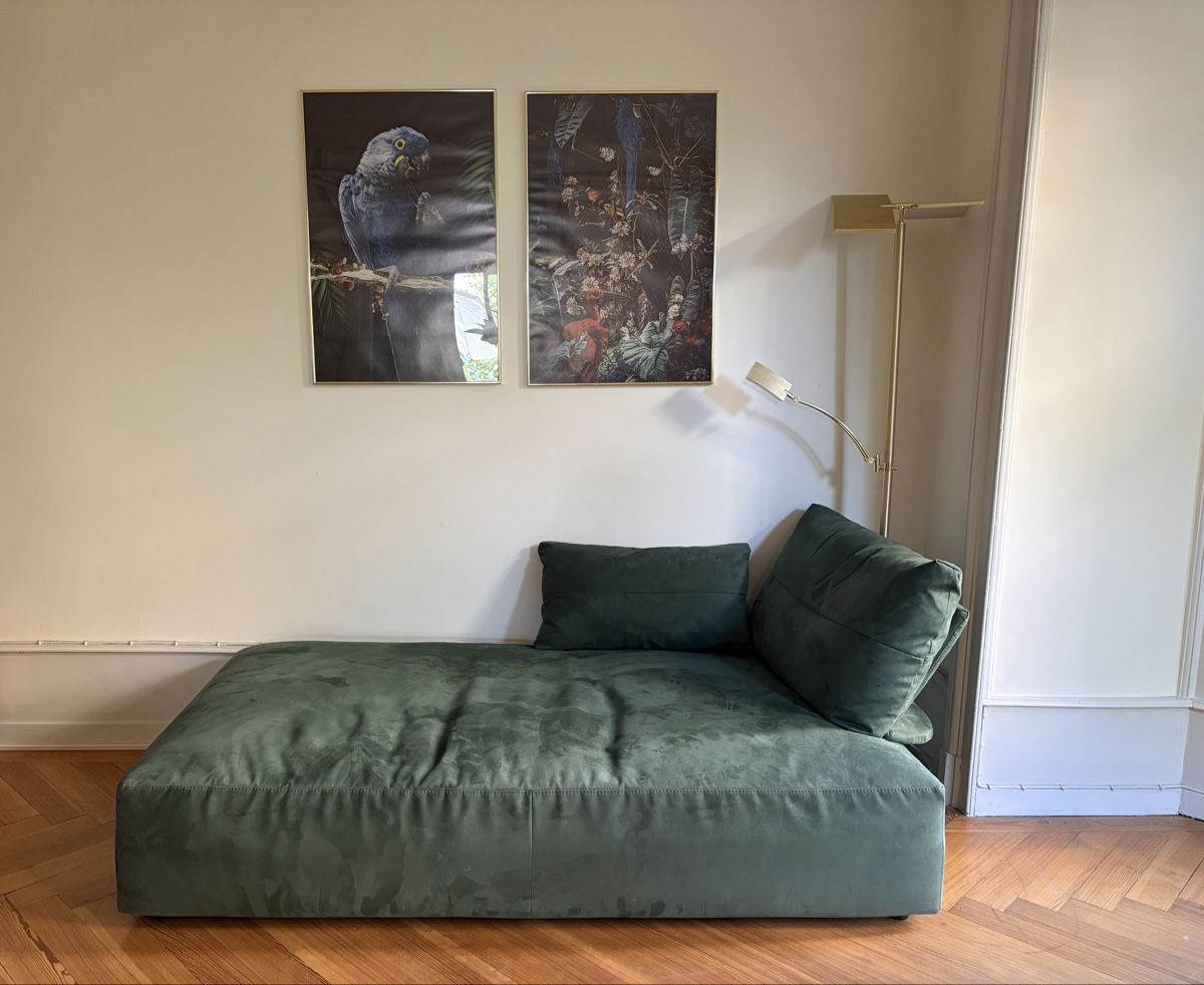 Divani: Designer Sofa Dondi Salotti – Usato da Neuchâtel venduto da milleh 1