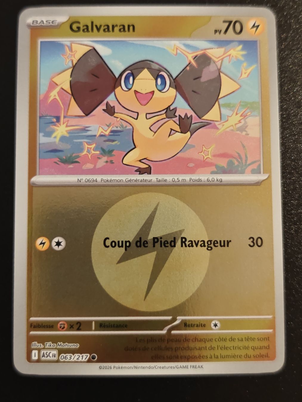 Pokémon Carte collezionabili: Galvaran Reverse (063/217) - Héros Transcendants – Usato da Cormondreche venduto da pajojo