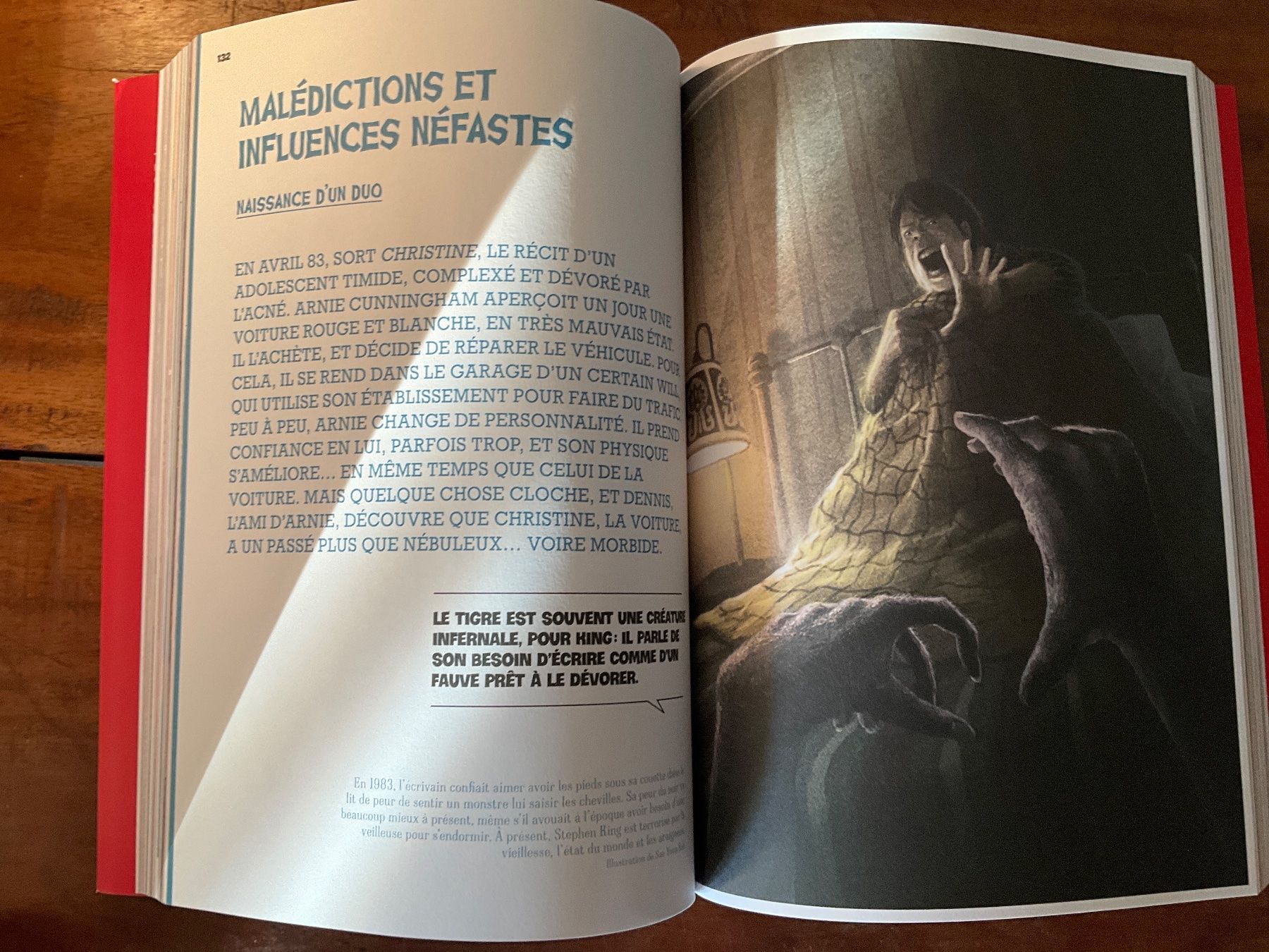 Libri: Livre Pop Icons Stephen King – Usato da Avenches venduto da Lactobacille 3
