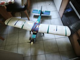 Benzin Flugzeug RC Holz