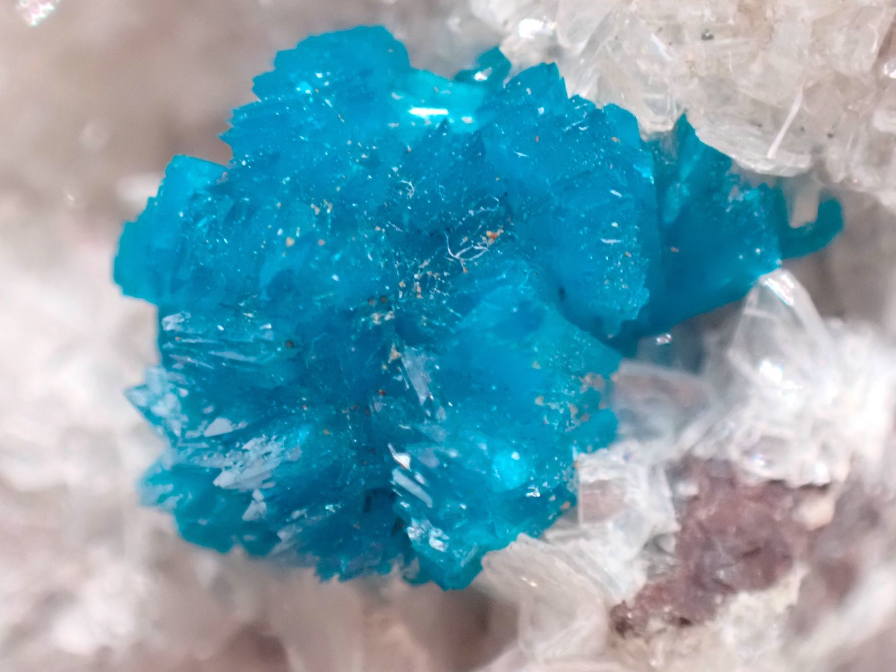 Mineralien & Heilsteine: Cavansite, Pune Dist., Maharashtra, India – Gebraucht aus Figino von panshop 4