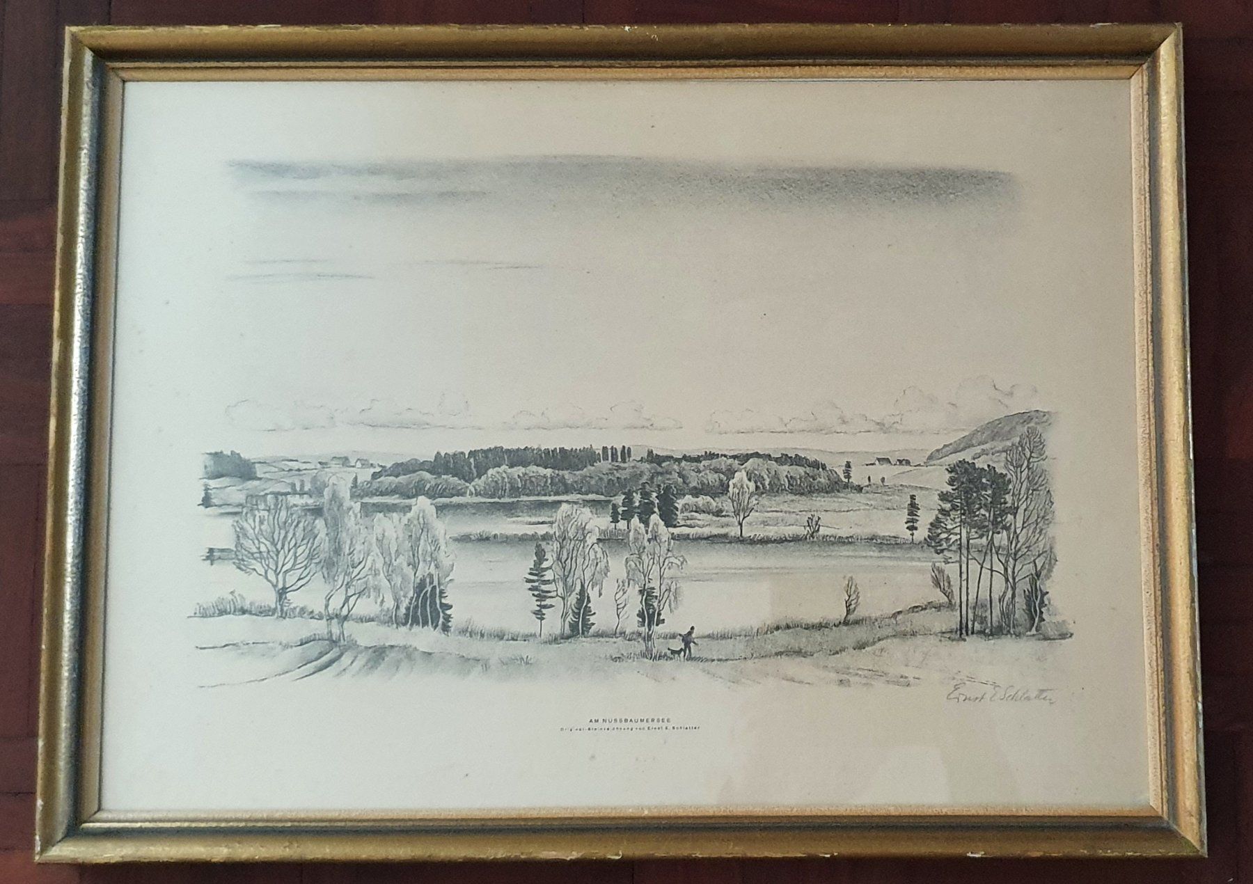 Foto & Immagini: Bild - Am Nussbaumersee,  Ernst E. Schlatter – Usato da Kreuzlingen venduto da Rschweiz1 3