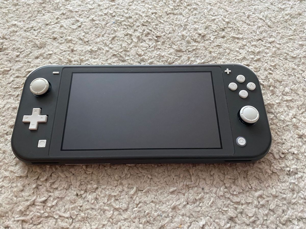 Nintendo Console: Nintendo Switch Lite – Usato da Jona venduto da Glow24