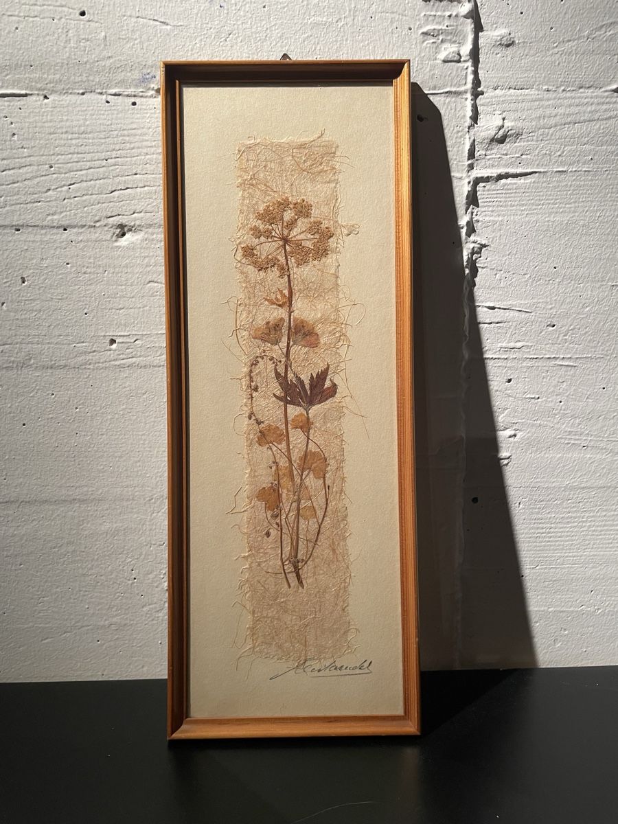 Poster & Bilder: Original Relly Mailaender Trockenblumen Bild gerahmt – Gebraucht aus Dietlikon von VintageStudioZurich 1
