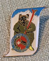 I307 - Pin Berner Oberland Ski Verband