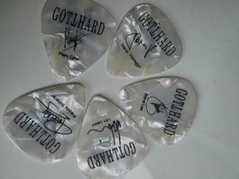 Rockgruppe Gotthard Gitarre Plektrum Souvenir