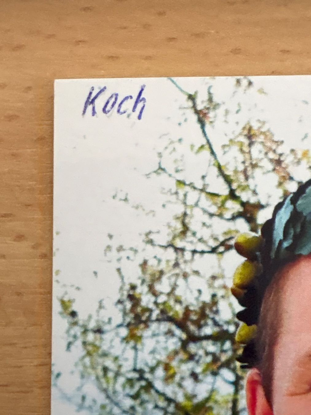 Autografi: Autogrammkarte vom Schwinger Martin Koch – Usato da Ibach venduto da lisch3 1