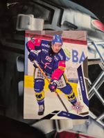 Nicholas Steiner EHC Kloten 2025/26 Sportzoo