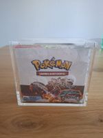 🔥Pokemon Obsidian Flammen Display🔥