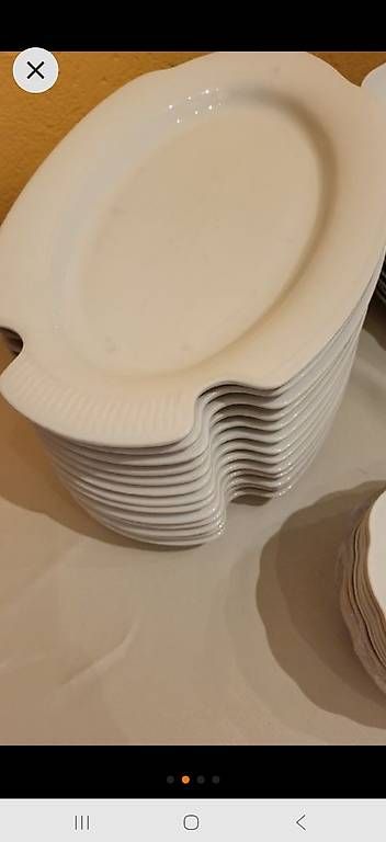 Plateaux: Fischteiler, Austria Servierplatten, 13 Stk, Weiss  – D'occasion à Samstagern par ana_lq95 1