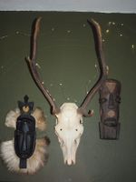 Hirschtrophäe