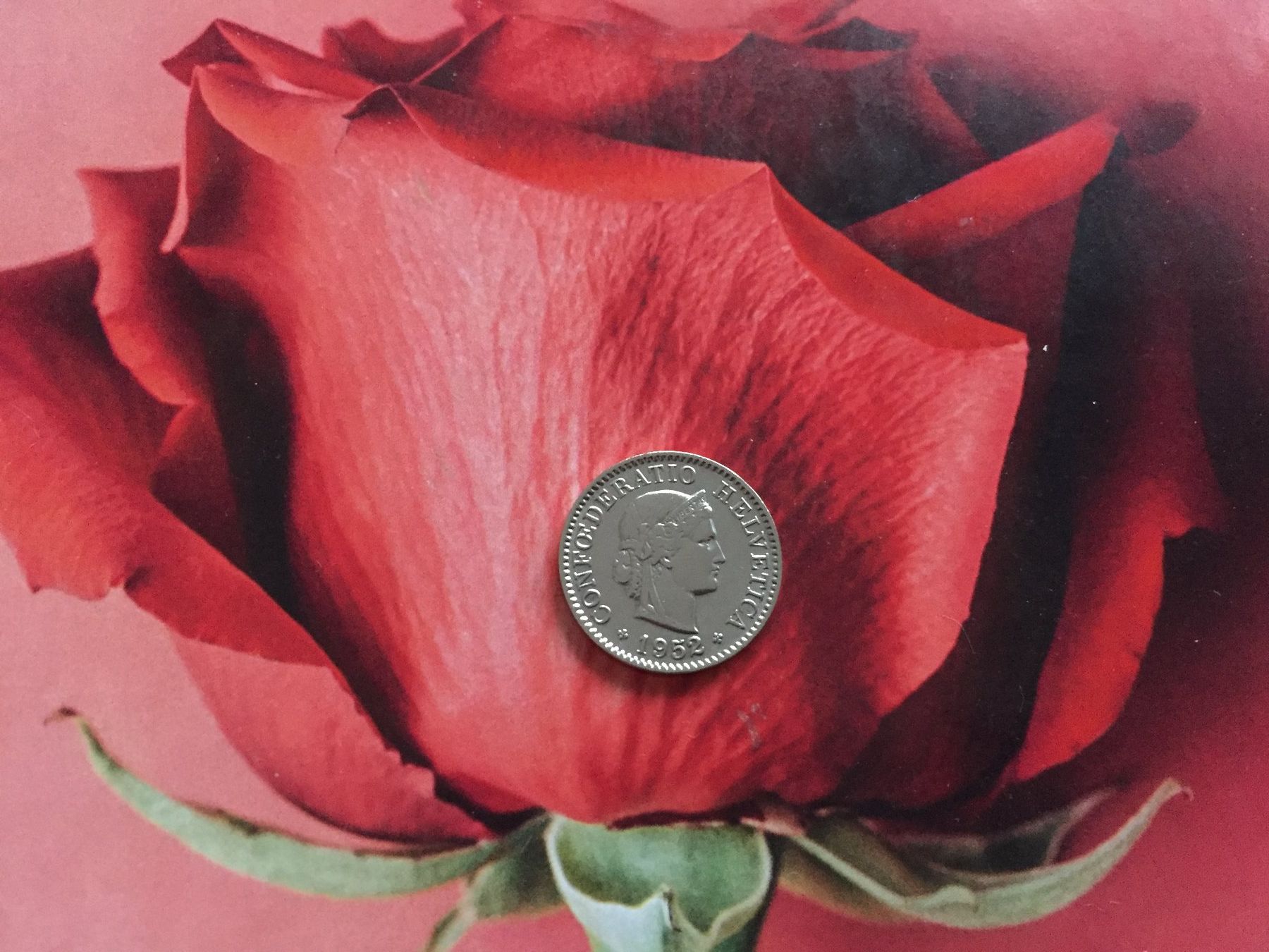 Tutti le monete: 5 Rappen 1952 -vz – Usato da Elsau venduto da herbybay 3