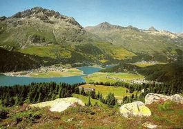 SILVAPLANA SURLEJ