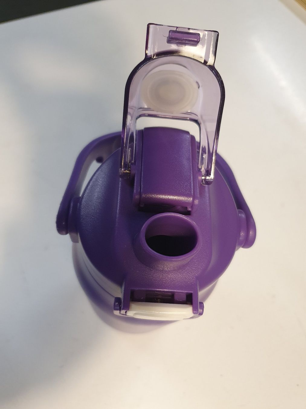 Borracce & Thermos: Picknick Trinkflasche lila – Usato da Zürich venduto da loosebone 6