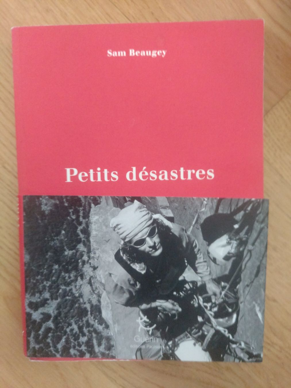 Libri: Petits désastres – Usato da Zürich venduto da jyhl7