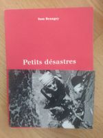 Petits désastres