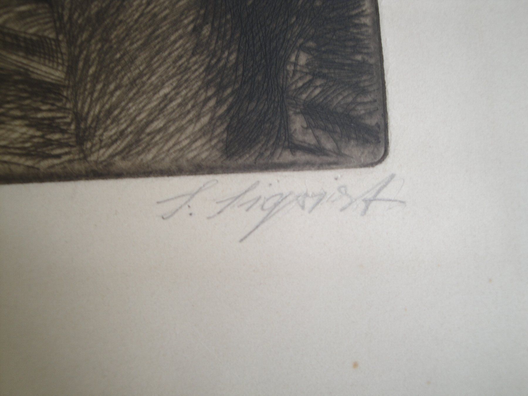 Carte collezionabili: Litho Sigrist – Usato da Trachslau venduto da bastet06 3