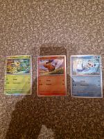 Cartes Pokémon Promo Noir et blanc FR