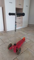 Micro Mini Dreirad-Trotti