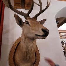 Profile image of nussgipfel02