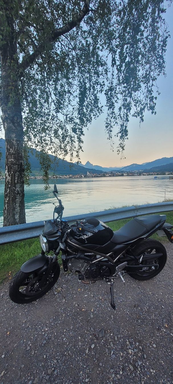Suzuki Strada: Suzuki SV 650 – Usato da Saland venduto da eve_sms2 3