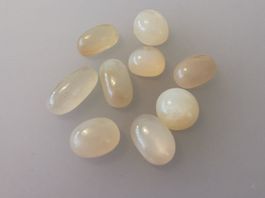 9 Stk. echte, unbehandelte, Mondstein Cabochons