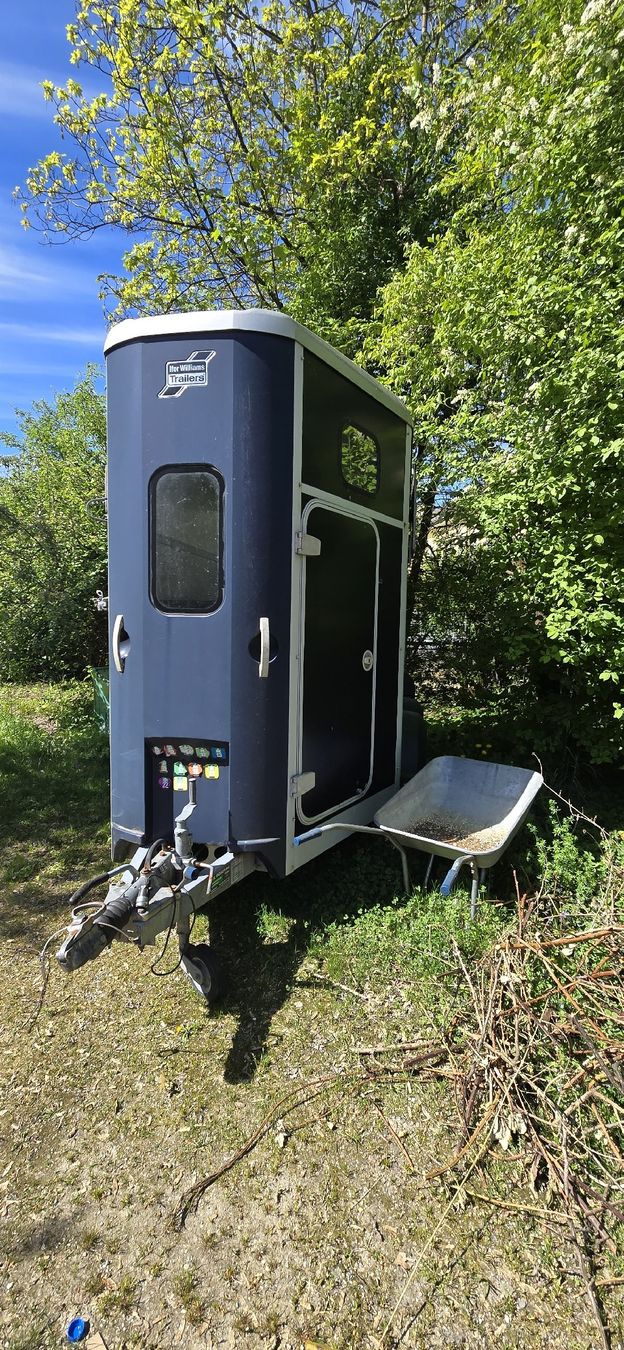 Ifor Rimorchi: Pferdeanhänher – Usato da Wald ZH venduto da rahili 4