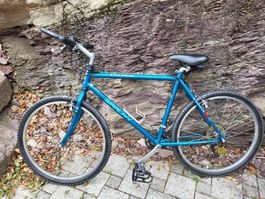 Herren Velo