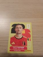 Panini WM 2026 BEL 4