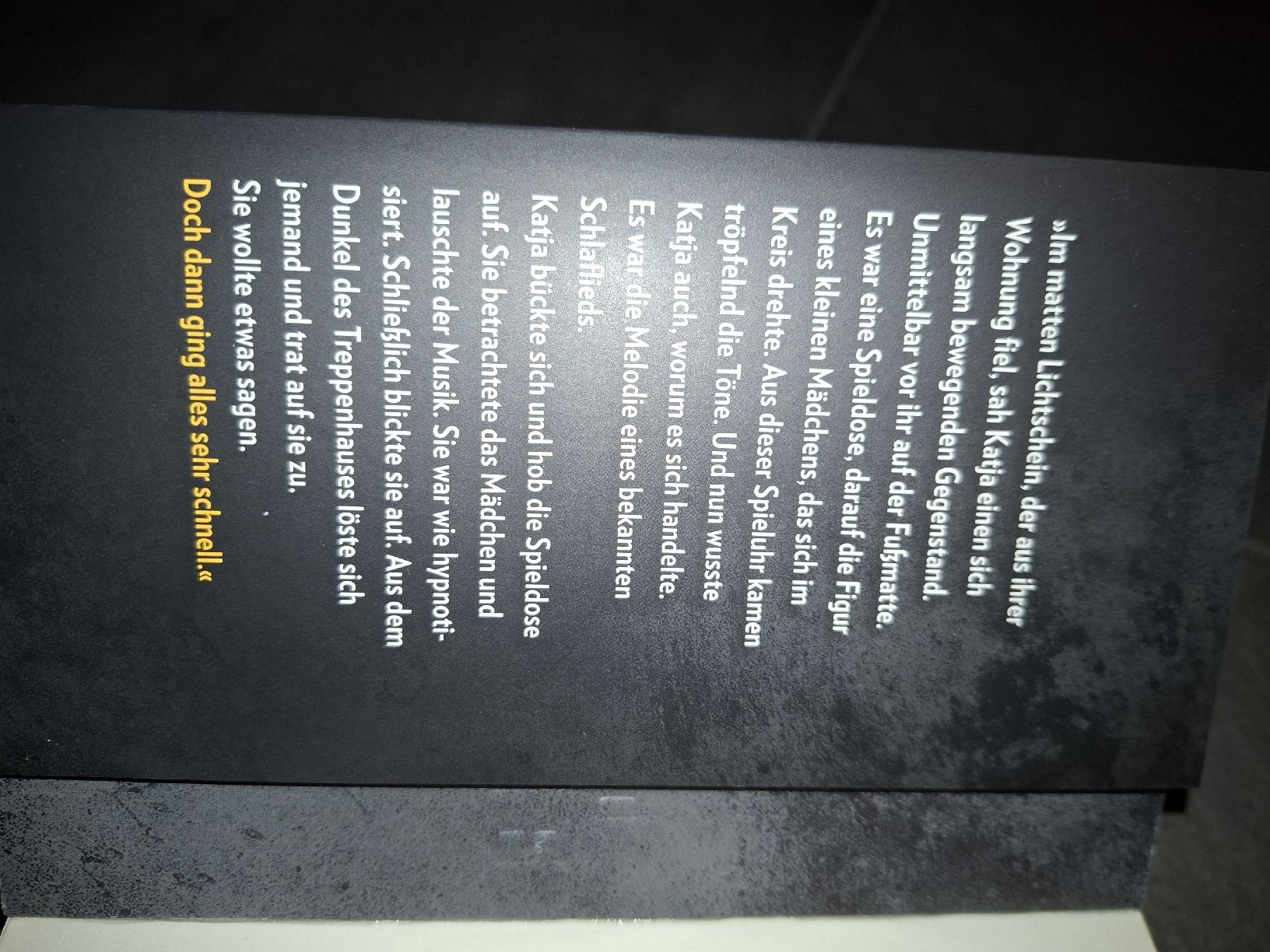 Bücher: Das Bernstein Kind – Neu (gemäss Beschreibung) aus Wängi von Pet_79tp 1