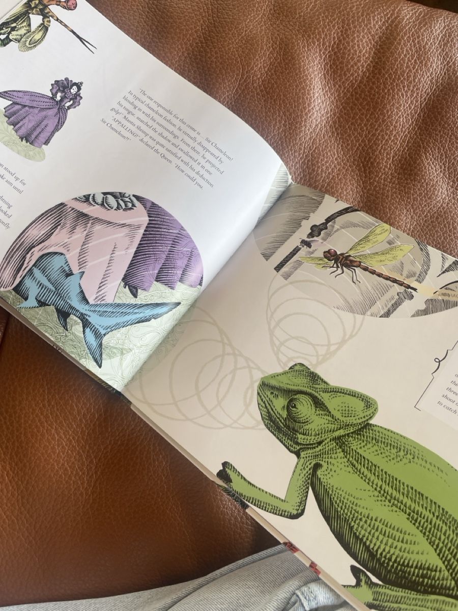 Bücher: Kinderbuch Englisch – Neu (gemäss Beschreibung) aus Freidorf TG von ibipatria 2