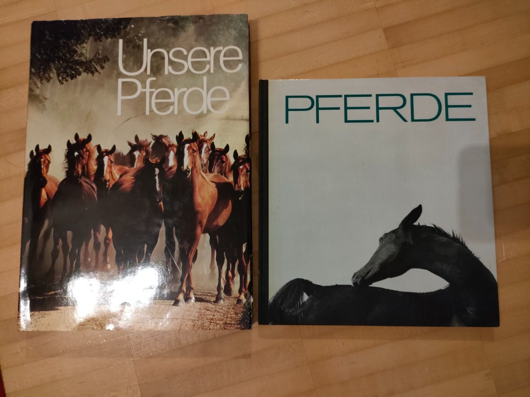 Libri: 2 Pferde Bücher – Usato da Wiesendangen venduto da s_er