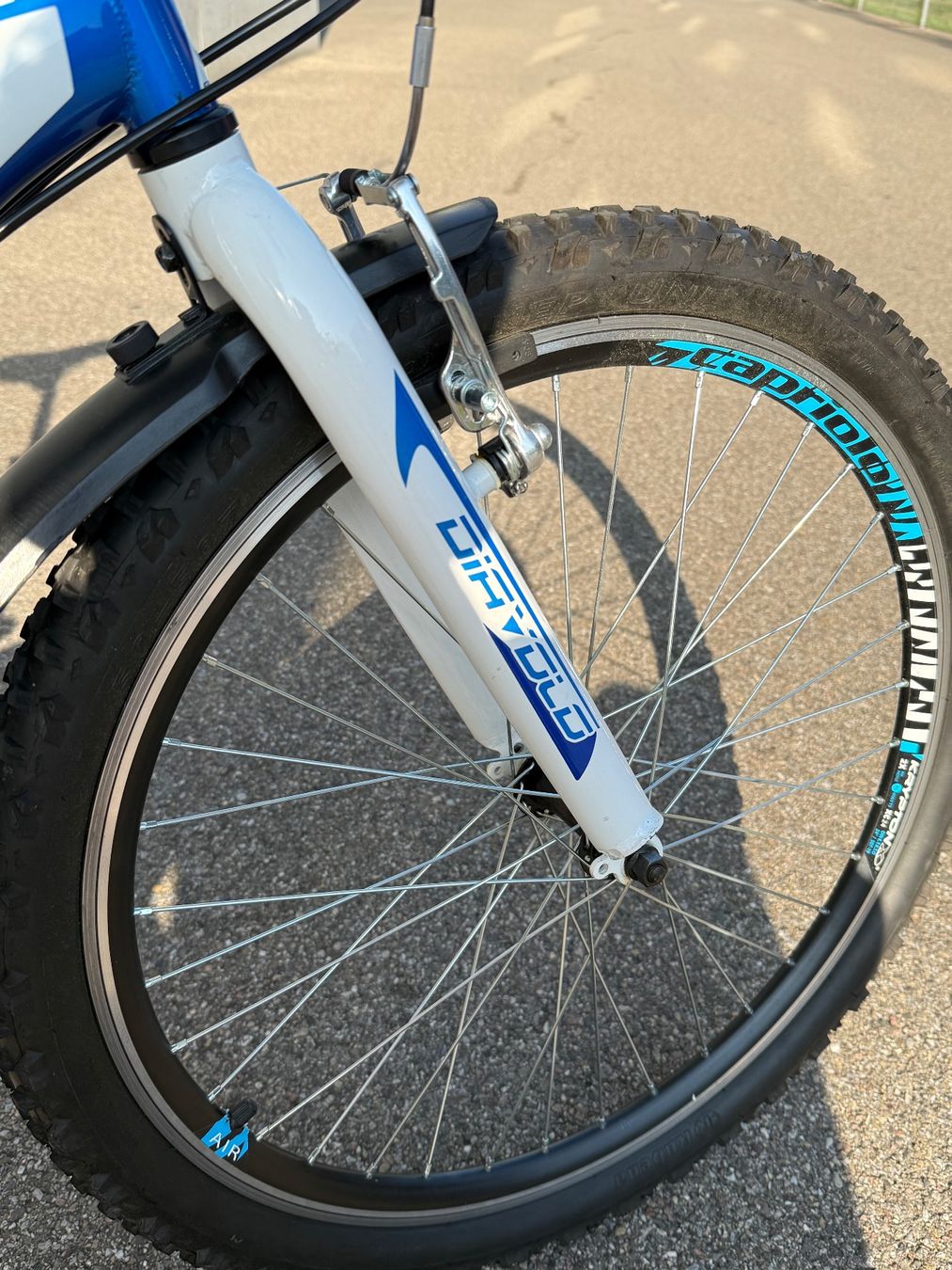 Velos: Capriolo DIAVOLO Velo – Gebraucht aus Zürich von Stutzv 5