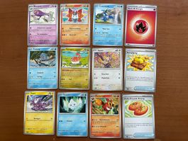Pokemon 12er Karten Set (Versand gratis)