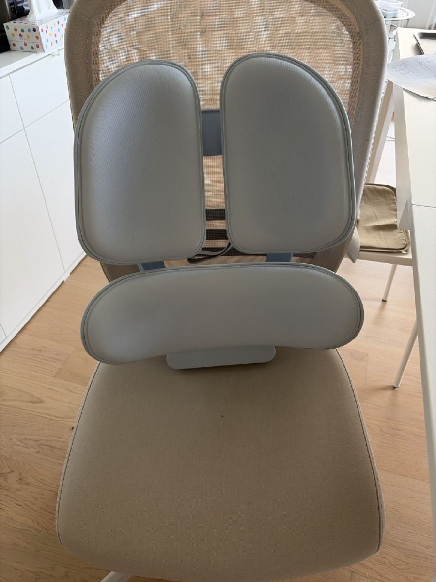 Sonstige Dekorationen & Accessoires: Ergonomic Lumbar Support / Back Support Cushion – Gebraucht aus Zürich von dan_6psg 3