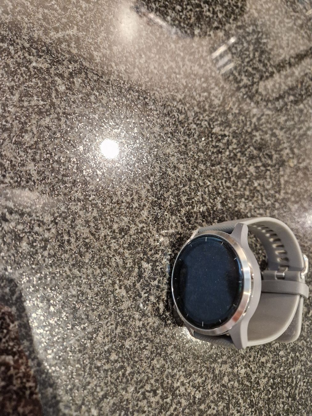 Garmin Smartwatch: Garmin vivoactive 4 Smartwatch mit charging cable – Usato da Thayngen venduto da jes_w6sf 5