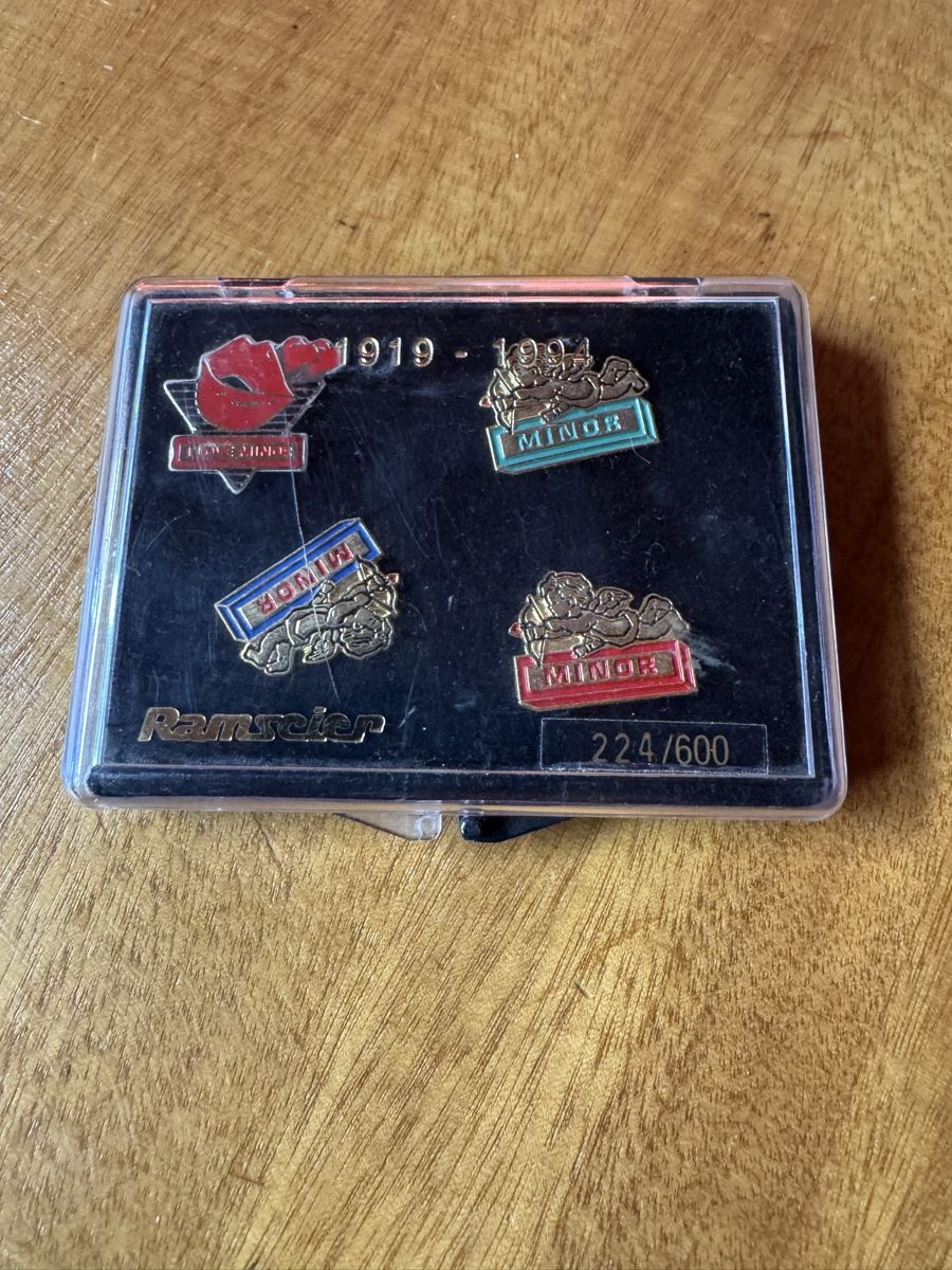 Swiss Placchette & Badge: Minor Pin Set im Ramseier Steckkasten – Usato da Oensingen venduto da Vintage-Lego-Toys