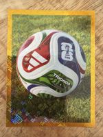 Panini FWC 5