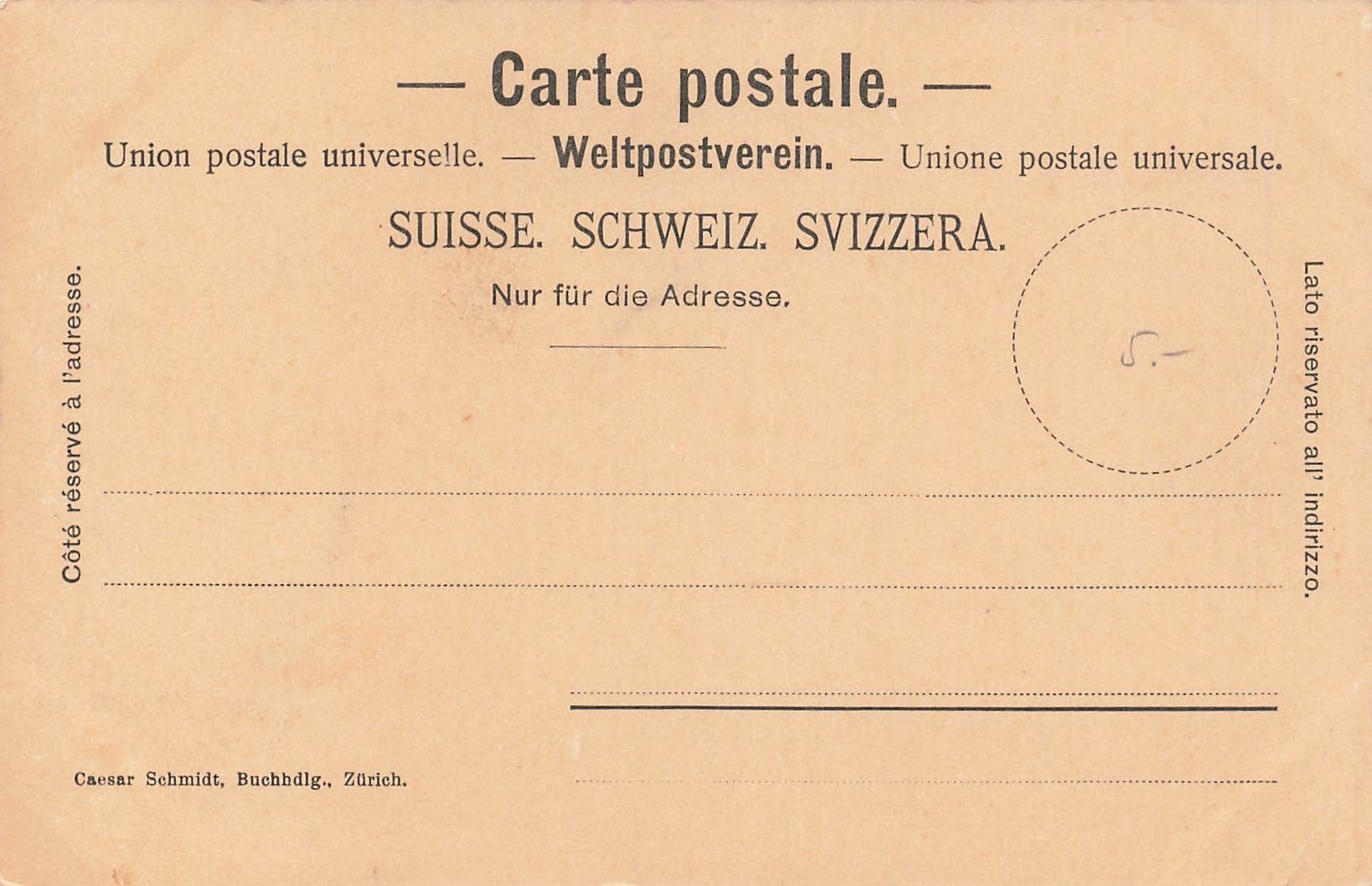 Cartoline postali: Rheinfall Schaffhausen – Usato da Biasca venduto da Blenio71 1