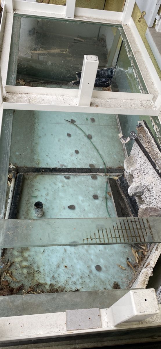Acquari: Grosses Aquarium – Usato da Wettingen venduto da vpr_9gz6 2