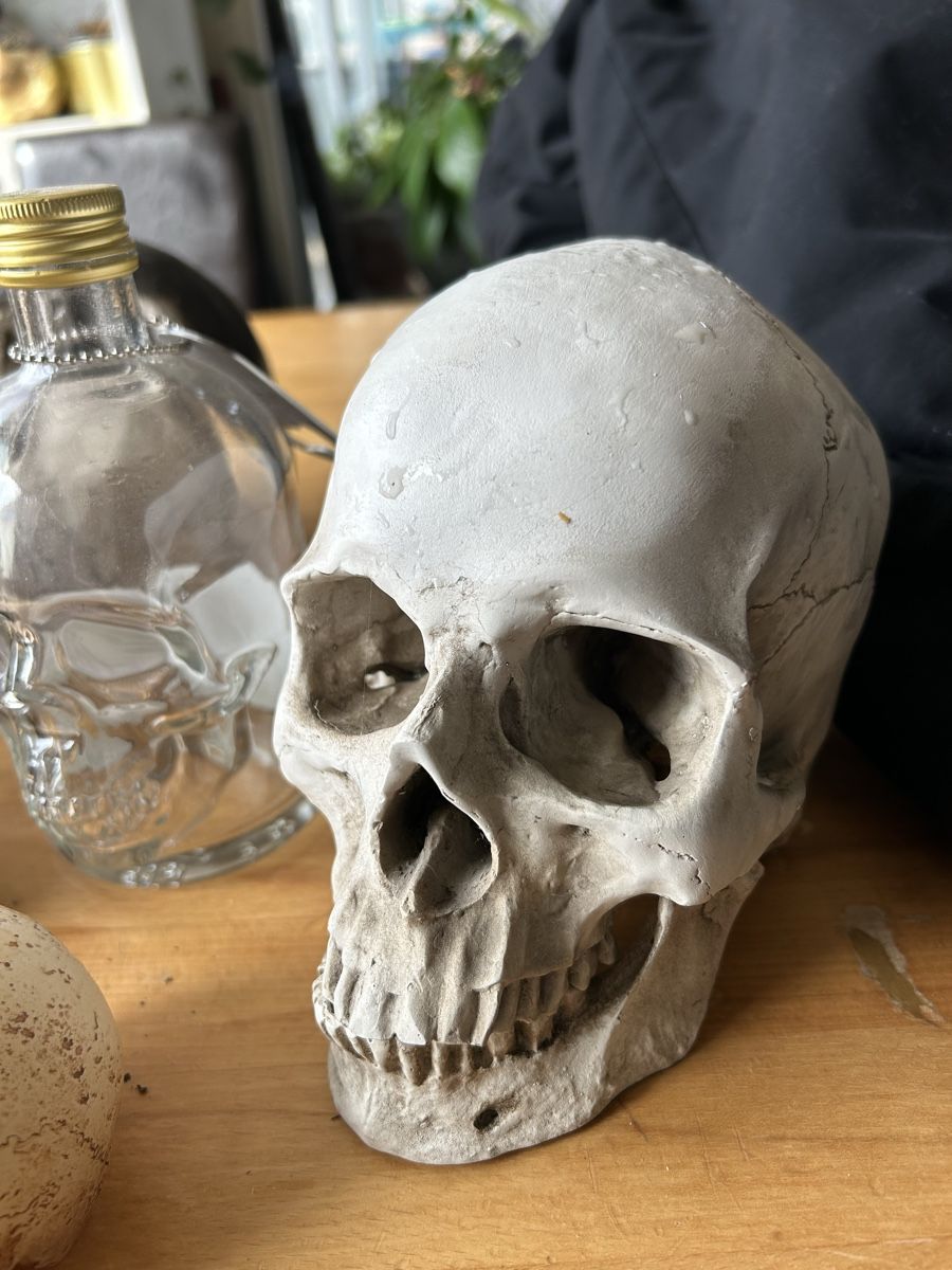 Alle Dekorationen: Skull, Schädel, Totenkopf – Gebraucht aus Zürich von kasifa 4